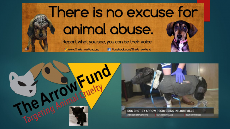 Arrow Fund - Animal Rescue